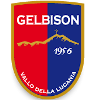 Gelbison