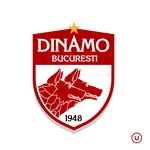 ACS FC Dinamo Bucuresti