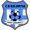 CS Gilortul Targu Carbunesti II